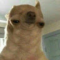 thatwierdkid2007_gmail_com