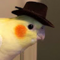ThatWulff