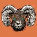 the_ram