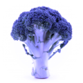 TheBlueBroccoli