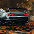 Thecarguy801
