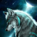 thedarkgamerlord_tdgl