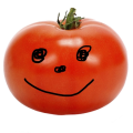 thedumbtomato
