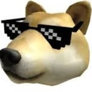 theflyingdoge