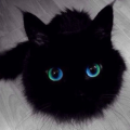 TheBlueOne