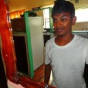 Josh Persaud