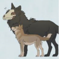 Therianwolf3