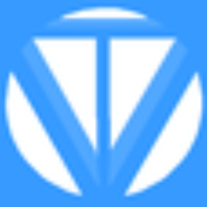 TheVisionaryOne
