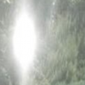 ‎ ‎ ‎