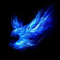 Thunderhawks