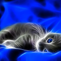 Tigris031010