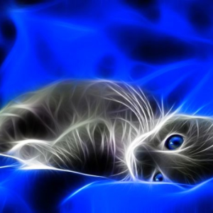 Tigris031010