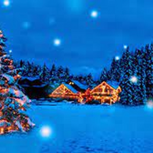 Tissue11
