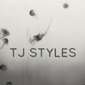 TJ Styles