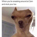 Tjayy