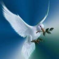 tnter72_gmail_com