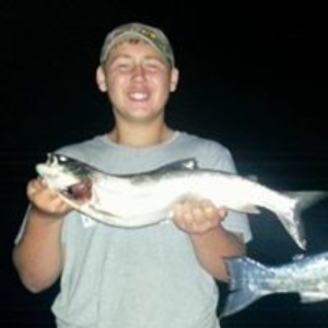 todd_schaus