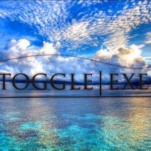 ToggleEXE
