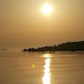 tomsey70_gmail_com