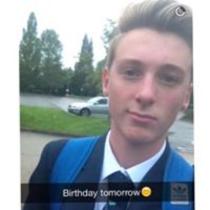 tomwillcocks