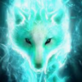 toxicwolf1684