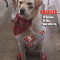 tracker_castillo