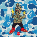 CamoSplash17
