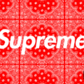 trapplayer