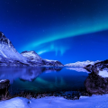 Fjordd
