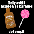 Tripații