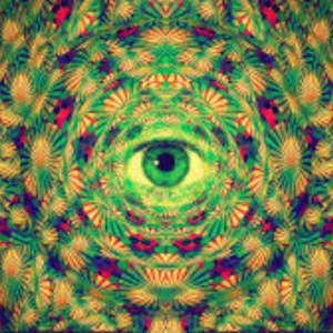 Trip_Studios