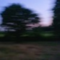 tristen_dtx