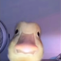 TrixIsSad