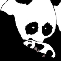 For The Love Of Pandas
