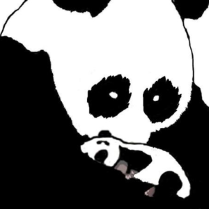 For The Love Of Pandas