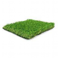 Turf_Lover