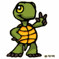 turtle22