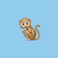 immonkey