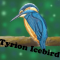 Tyrion