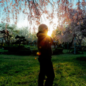ume