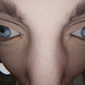 UnkAshess