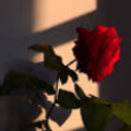 unknownlover