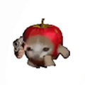 Userabc123