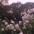 usr_u
