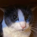 uuilbert