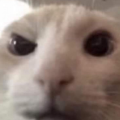 UziaczeQ_UwU