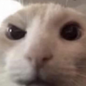 UziaczeQ_UwU