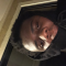vae_beatz