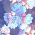 valentinaamabile6_gmail_com