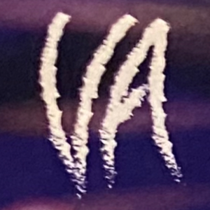 VASketch
